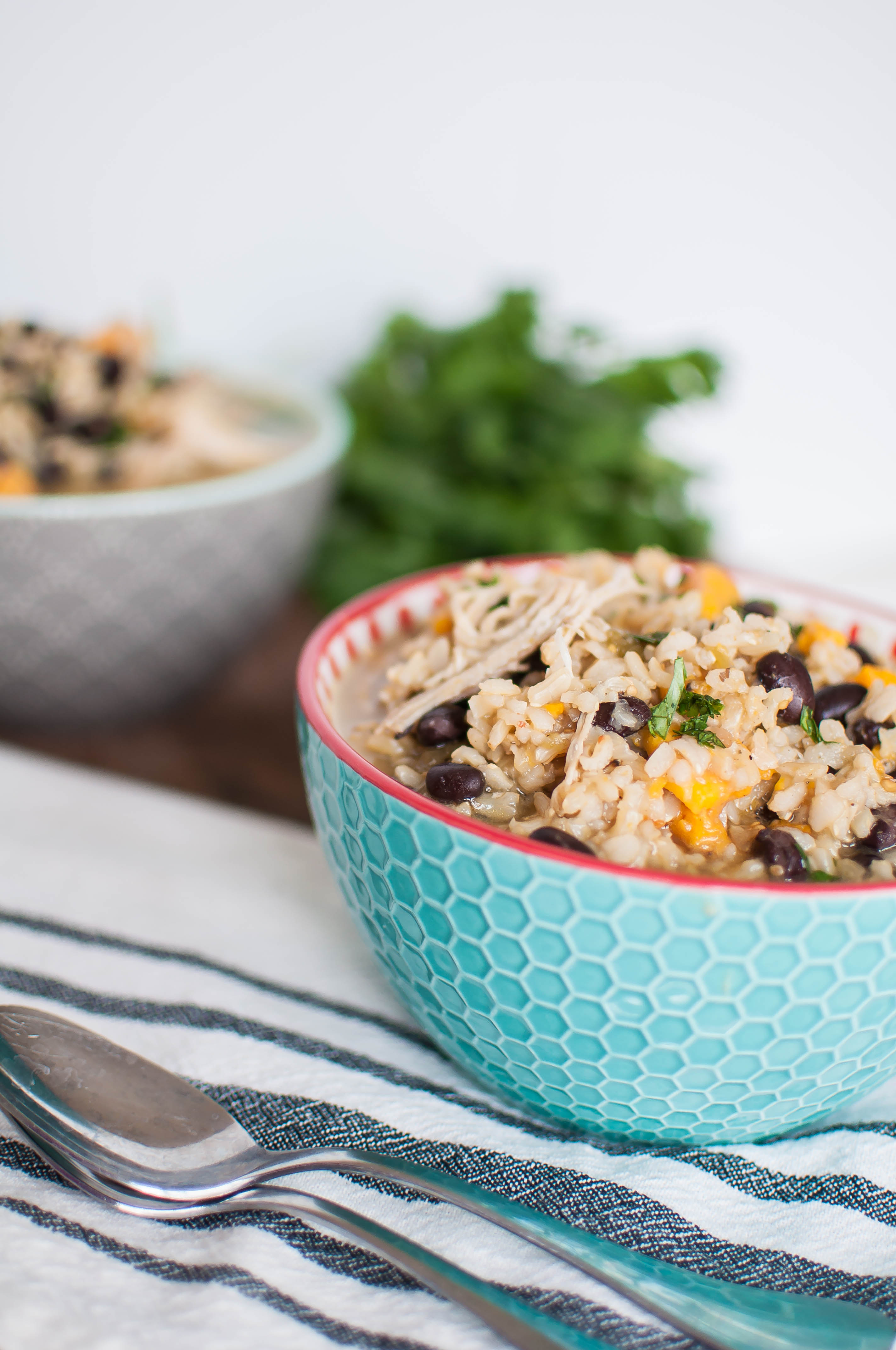 Instant Pot Mexican Chicken Stew - Meg's Everyday Indulgence