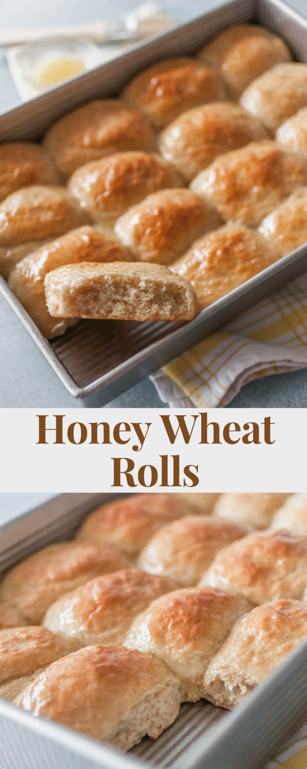 Honey Wheat Rolls - Meg's Everyday Indulgence