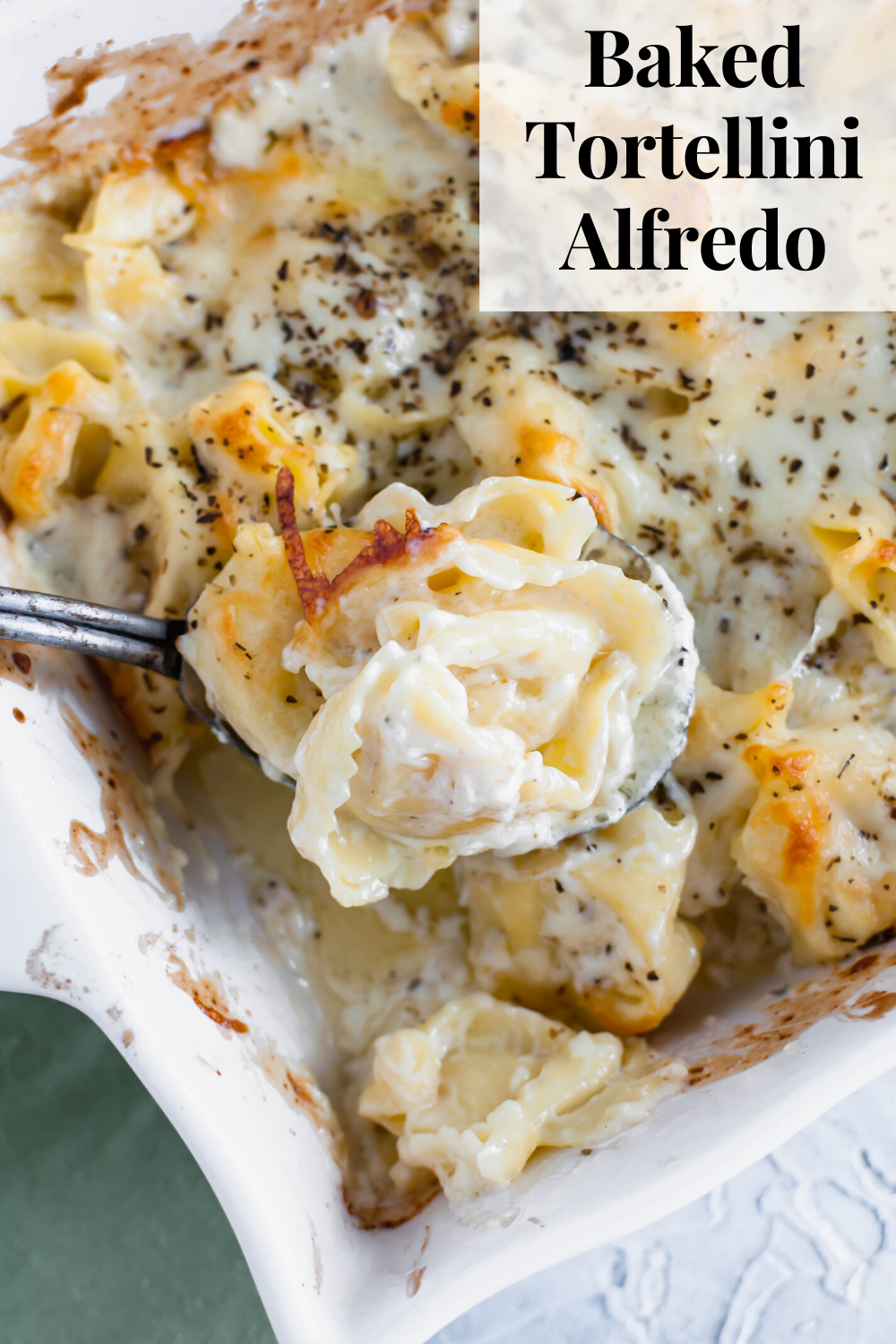 Baked Tortellini Alfredo - Meg's Everyday Indulgence